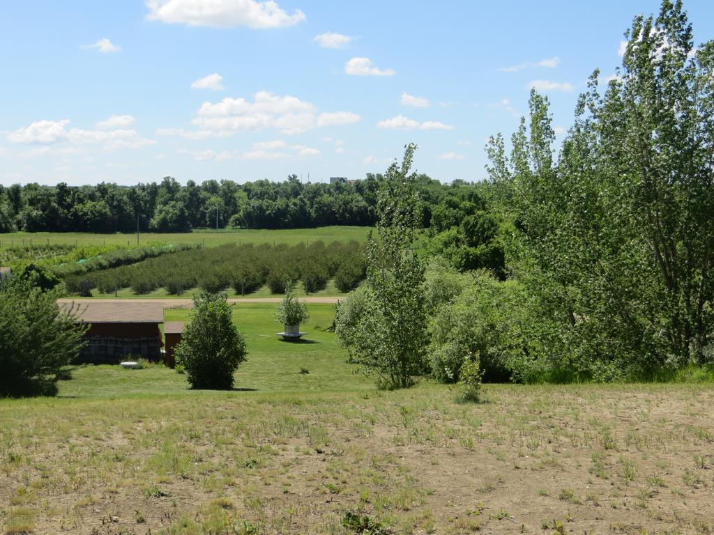 Orchard View Bed And Breakfast Moose Jaw Eksteriør billede