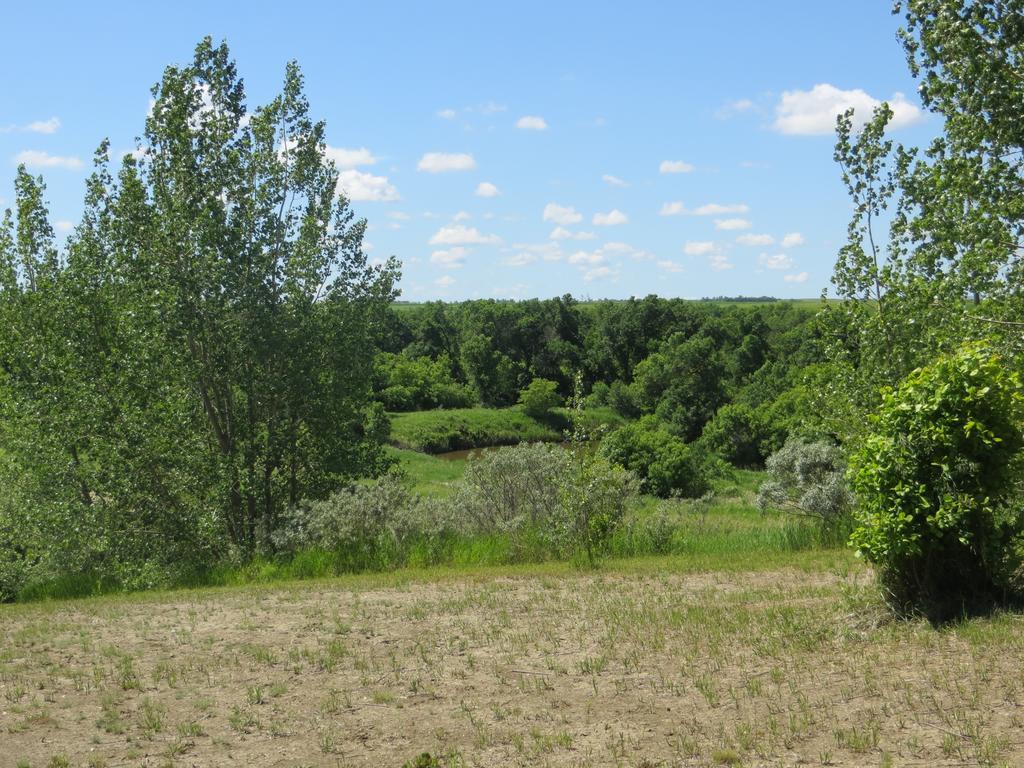 Orchard View Bed And Breakfast Moose Jaw Eksteriør billede